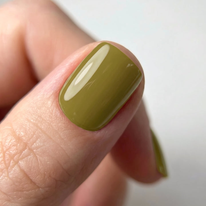 Olive aplicado