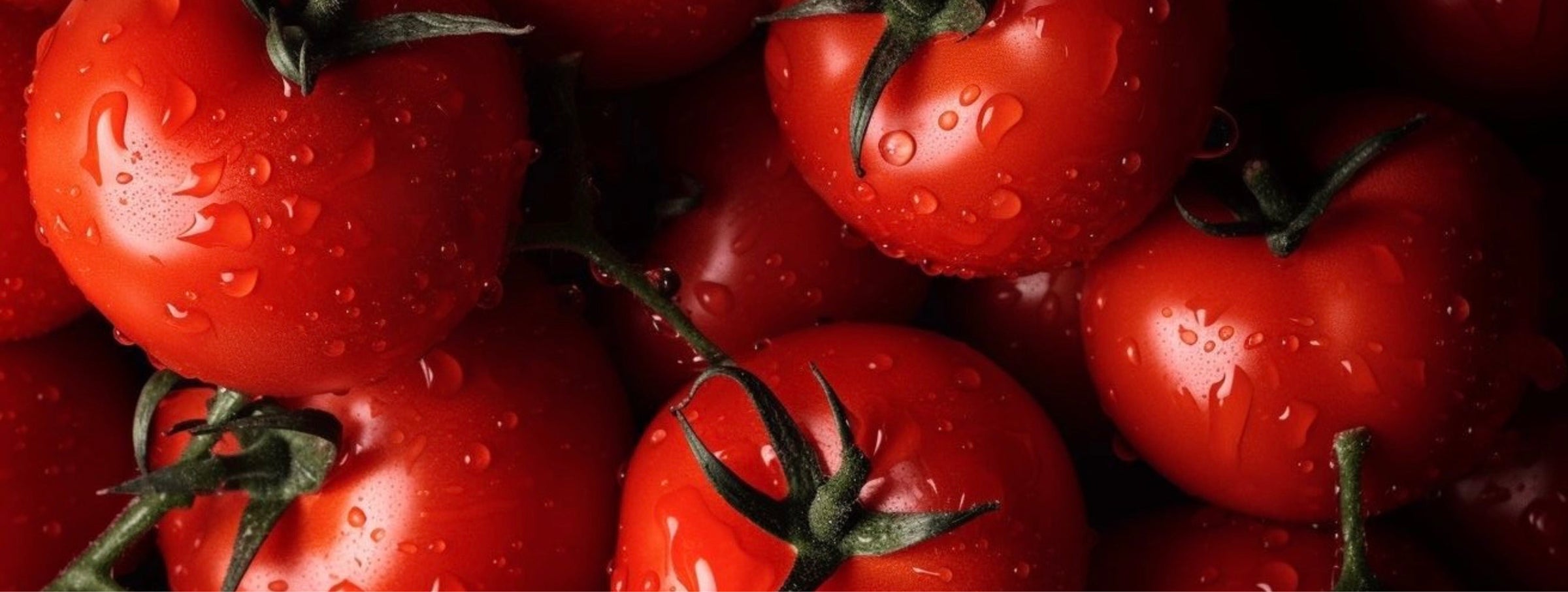 Mediterranea - The Cherry on top - Foto storytelling 1